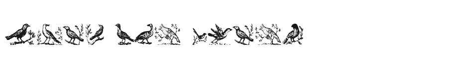 font Very-Old-Birds download