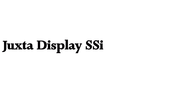 Juxta Display SSi