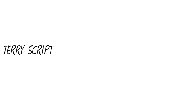 Terry Script