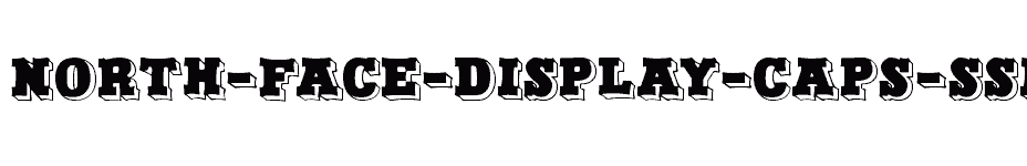 font North-Face-Display-Caps-SSi download