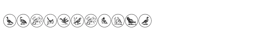 font Old-Birds-Two download