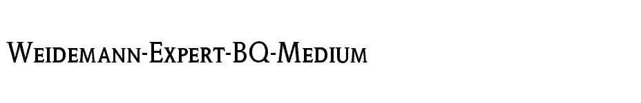 font Weidemann-Expert-BQ-Medium download